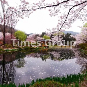 ثبت شرکت در کره شمالی