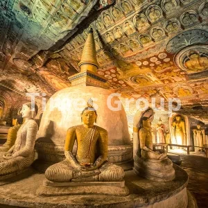 افتتاح حساب شرکتی و بیزینسی در سری‌لانکا